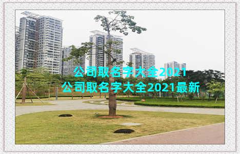 公司取名字大全2021 公司取名字大全2021最新